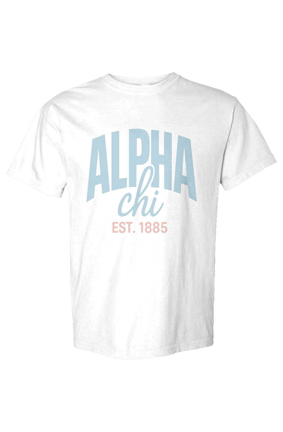 AXO LARGE- Comfort Colors Heavyweight T Shirt