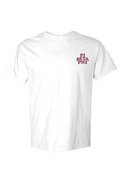 PBP CIRCLE SUNSHINE- Comfort Colors Heavyweight T Shirt