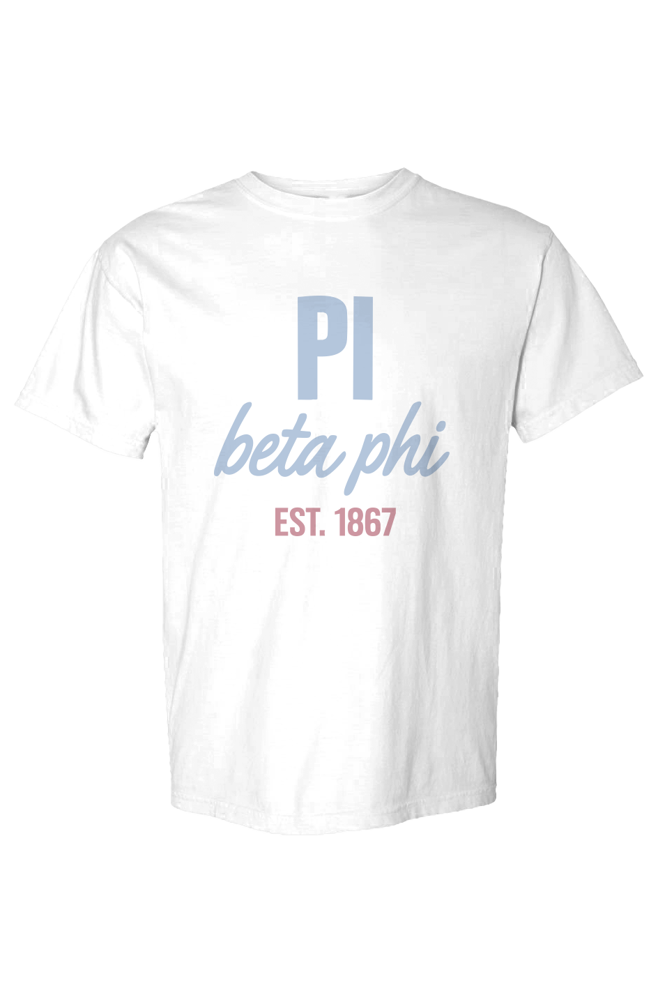 PBP LARGE-Comfort Colors Heavyweight T Shirt