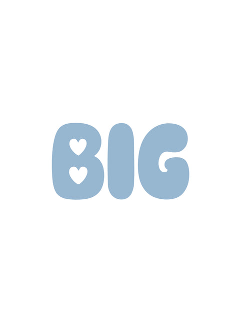 "Big" Bubble High Crown Trucker Hat