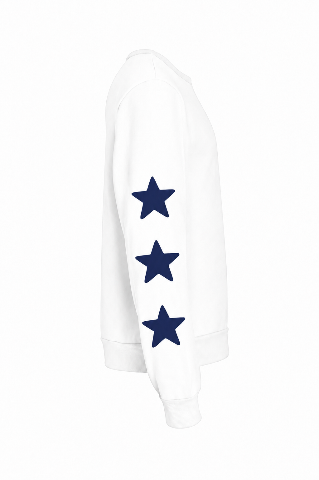 Delta Gamma Oversized Graphic Sponge Fleece Sweatshirt