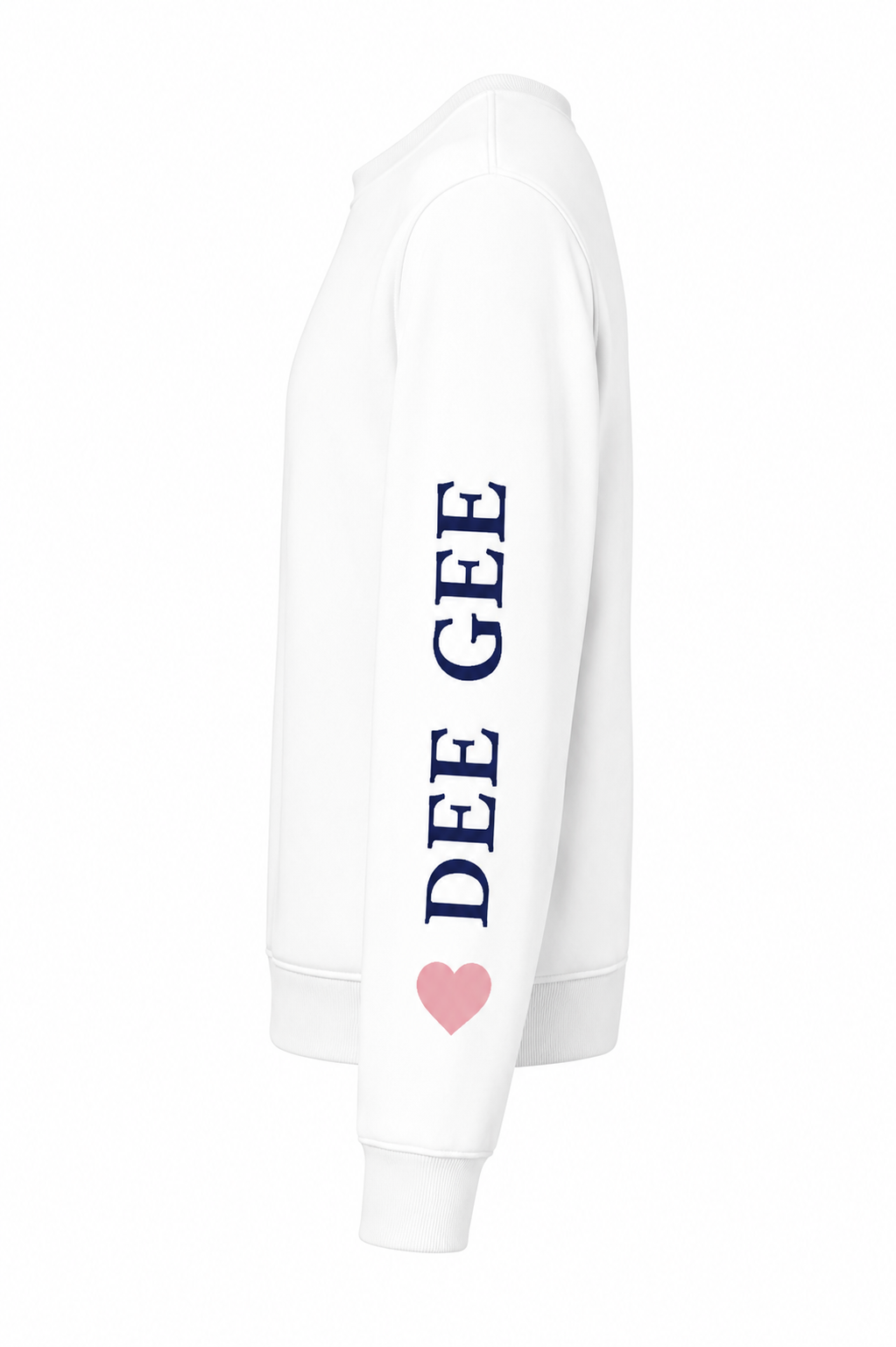 Delta Gamma Oversized Graphic Sponge Fleece Sweatshirt