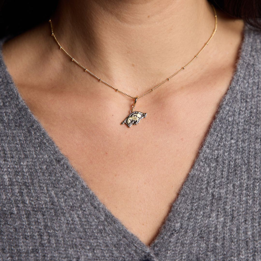 University of Arkansas Charm Necklace