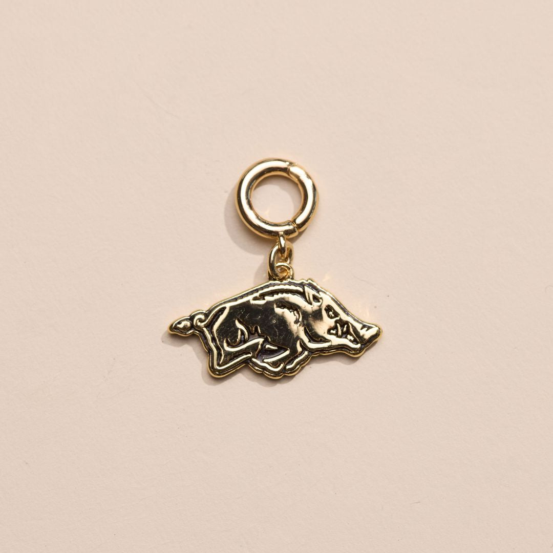 University of Arkansas Razorback Charm