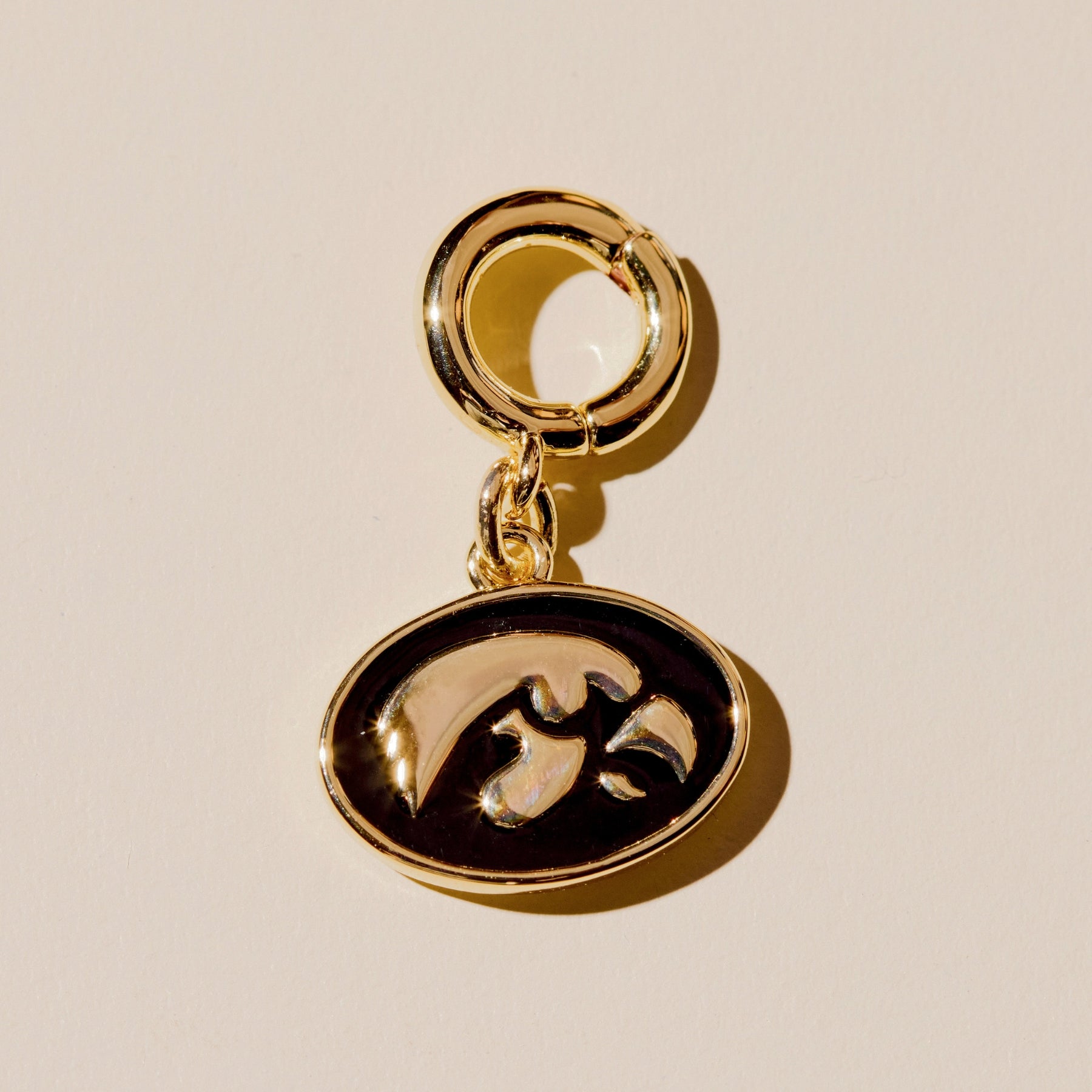 University of Iowa Tigerhawk Charm
