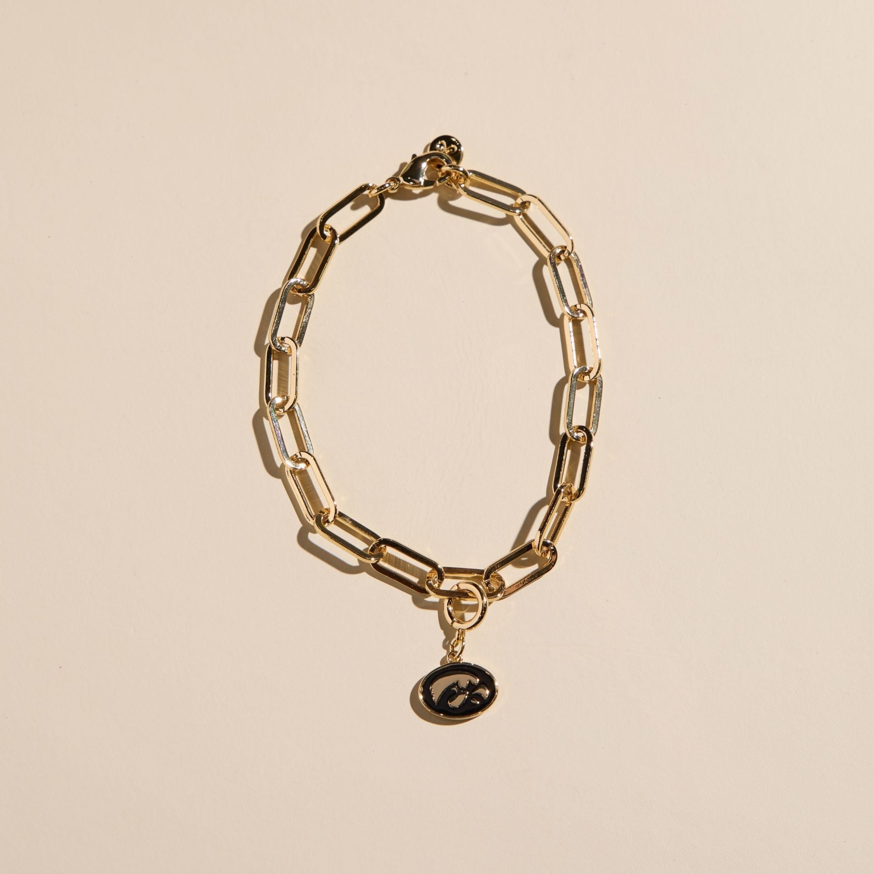 University of Iowa Tigerhawk Charm Bracelet