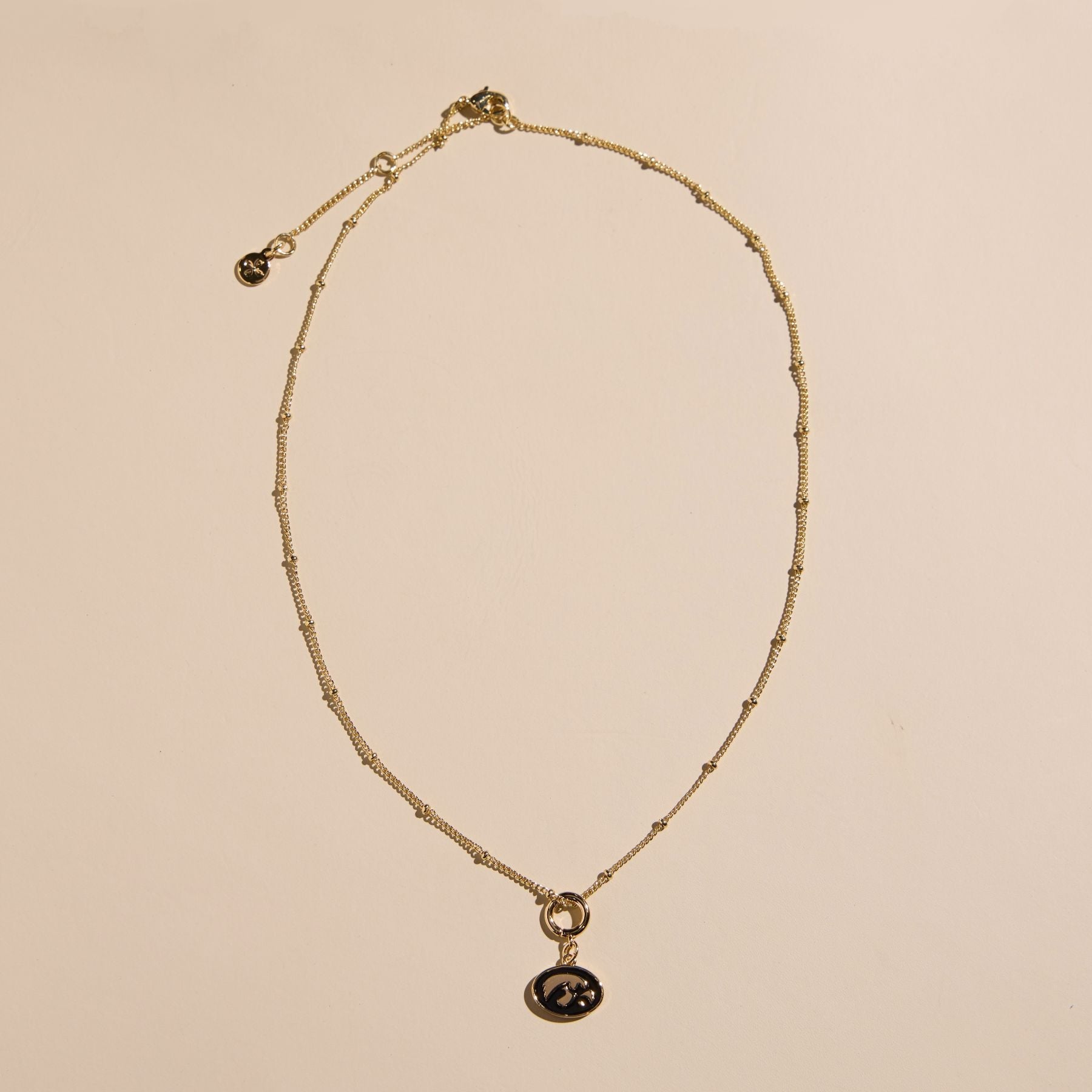 University of Iowa Tigerhawk Charm Necklace